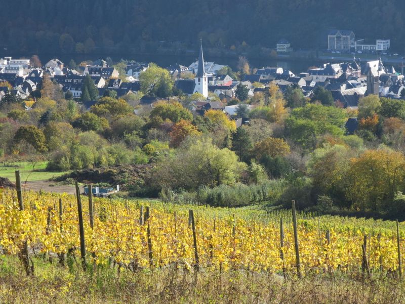 23837555-Ferienwohnung-2-Traben-Trarbach-800x600-2