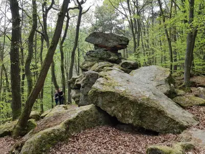 Wanderung im Wald
