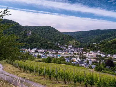 Schöne Aussicht aus den Weinbergen