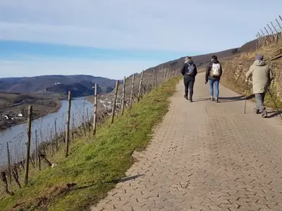 Wandern durch die Weinberge