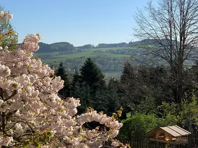 Gartenanlage mit Aussicht