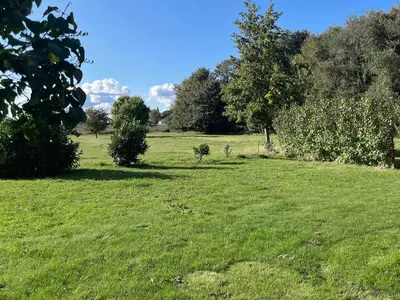 view-from-room