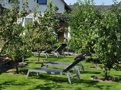 Ferienwohnung für 2 Personen (40 m²) in Trassenheide (Ostseebad) 7/10