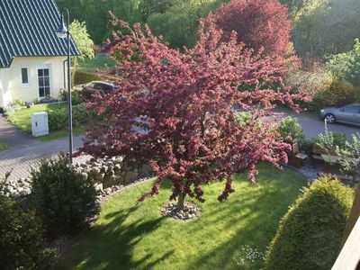 Ferienwohnung für 4 Personen (115 m²) in Trassenheide (Ostseebad) 7/10