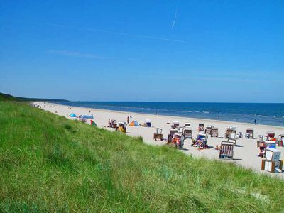 Ferienwohnung für 6 Personen in Trassenheide (Ostseebad) 9/10