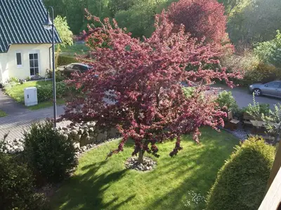 Ferienwohnung für 4 Personen (70 m²) in Trassenheide (Ostseebad) 7/10