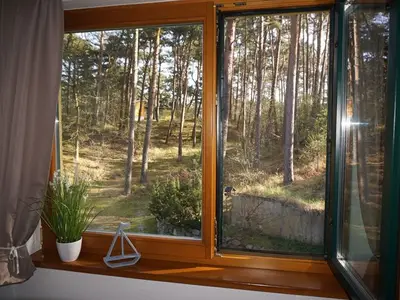 Ferienwohnung für 3 Personen (45 m²) in Trassenheide (Ostseebad) 10/10