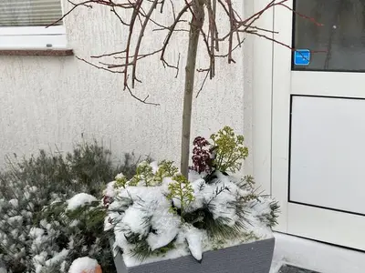 Ferienwohnung für 2 Personen (25 m²) in Trassenheide (Ostseebad) 7/10
