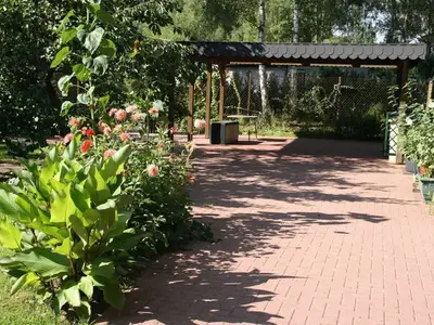 Ferienwohnung für 4 Personen (56 m²) in Trassenheide (Ostseebad) 7/10