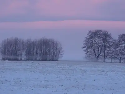 Ferienwohnung für 3 Personen (45 m²) in Trassenheide (Ostseebad) 7/10