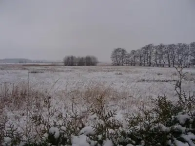 Ferienwohnung für 3 Personen (45 m²) in Trassenheide (Ostseebad) 10/10