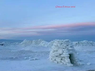 Ferienwohnung für 4 Personen (80 m²) in Trassenheide (Ostseebad) 4/10