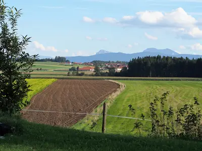 Ausblick