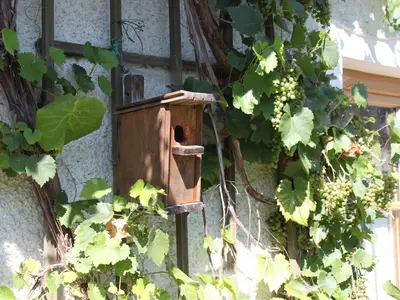Vogelhäuschen