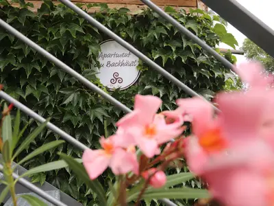 Treppenaufgang zum Backhaus