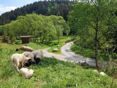 Ferienwohnung für 2 Personen (35 m²) in Trautenstein 10/10