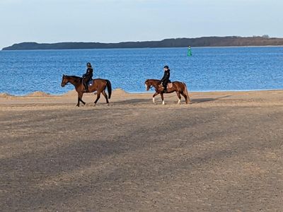 Reiten am Strand