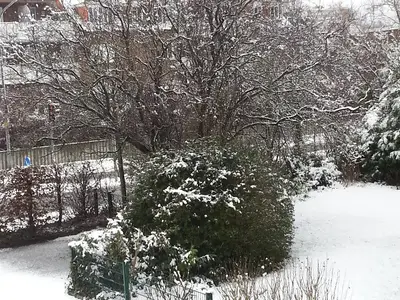 Ausblick Norden Winter