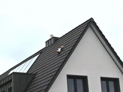 Ferienwohnung für 6 Personen (65 m²) in Travemünde 5/10