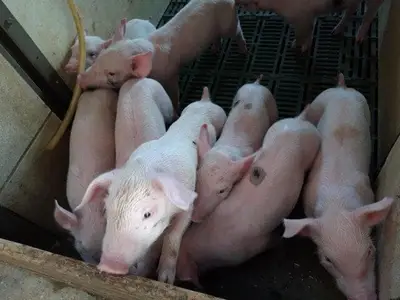 handy-jana-urlaub-ba