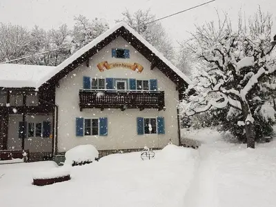 Ferienwohnung für 4 Personen (70 m²) in Treffen 1/10