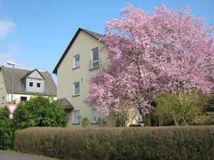 Ferienwohnung für 2 Personen (35 m²) in Treis-Karden