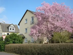 Ferienwohnung für 2 Personen (35 m²) in Treis-Karden