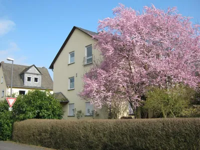 Hausansicht Garten