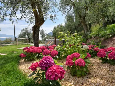 Ferienwohnung für 4 Personen (55 m²) in Tremosine Sul Garda 7/10