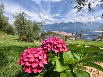 Ferienwohnung für 4 Personen (55 m²) in Tremosine Sul Garda 5/10