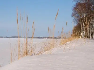 Ferienwohnung für 2 Personen (21 m²) in Trent (Rügen) 3/10