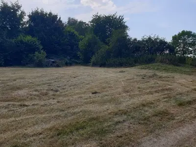 Ferienwohnung für 5 Personen (93 m²) in Trent (Rügen) 3/10