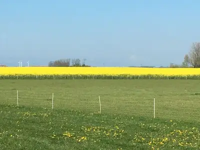 Ferienwohnung für 5 Personen (93 m²) in Trent (Rügen) 10/10