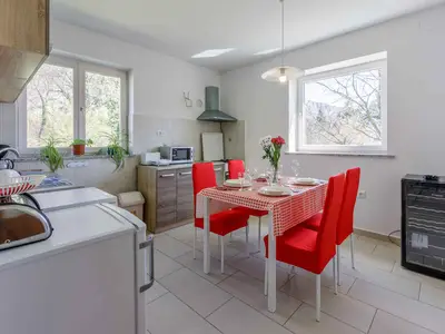 Ferienwohnung für 4 Personen (48 m²) in Tribalj 9/10