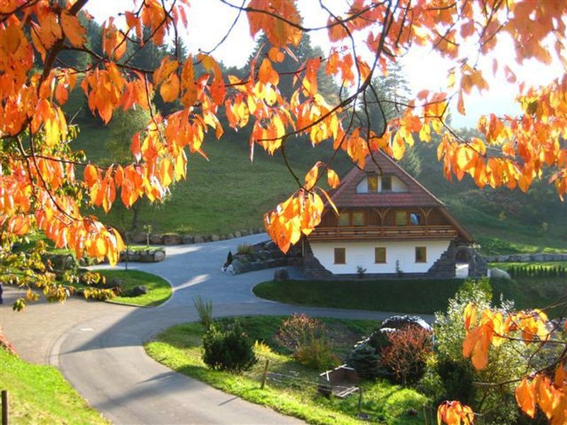 5433188-Ferienwohnung-4-Triberg-800x600-2