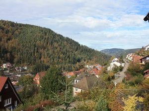 22235307-Ferienwohnung-2-Triberg-300x225-1