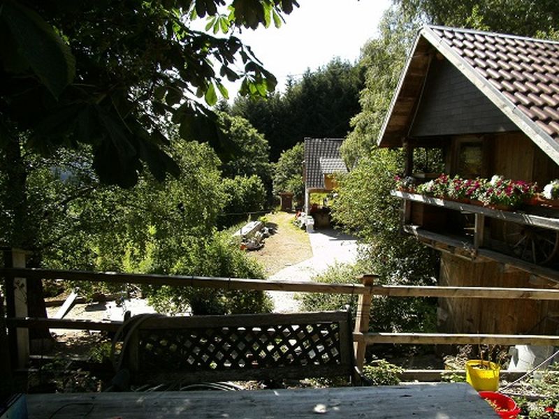 19041980-Ferienwohnung-4-Triberg-800x600-1