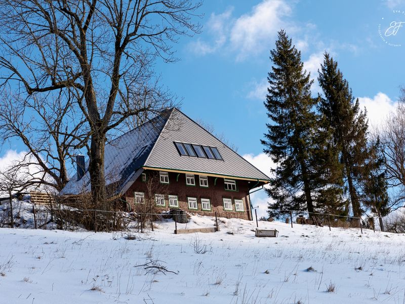 20867821-Ferienwohnung-2-Triberg-800x600-2