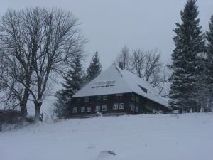 20867821-Ferienwohnung-2-Triberg-300x225-3