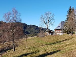 20867821-Ferienwohnung-2-Triberg-300x225-4