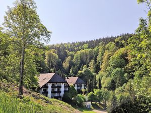 Ferienwohnung für 4 Personen (60 m²) in Triberg