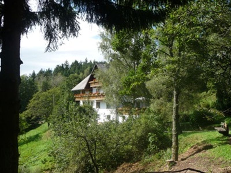 12092414-Ferienwohnung-5-Triberg-800x600-1