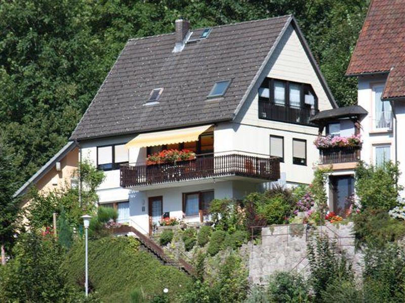 22235307-Ferienwohnung-2-Triberg-800x600-0