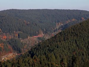 19041980-Ferienwohnung-4-Triberg-300x225-2