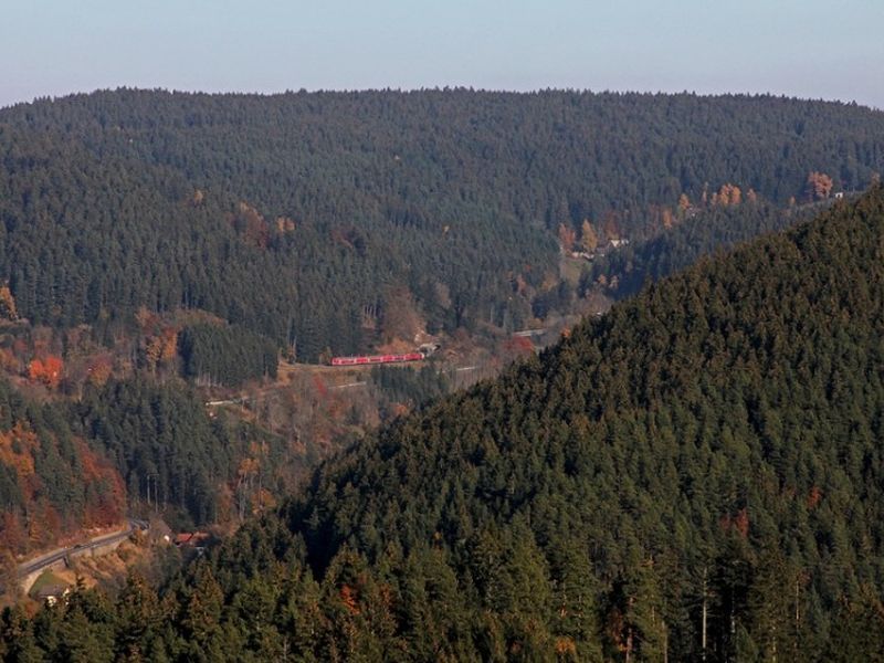 19041980-Ferienwohnung-4-Triberg-800x600-2