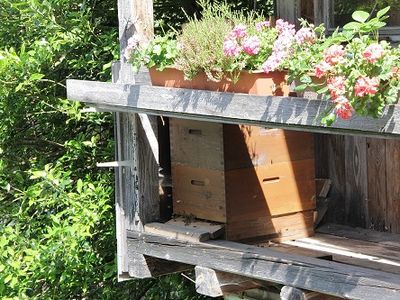 Bienenwohnung auf dem Balkon