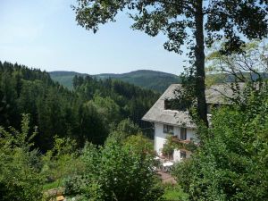 12092411-Ferienwohnung-4-Triberg-300x225-3