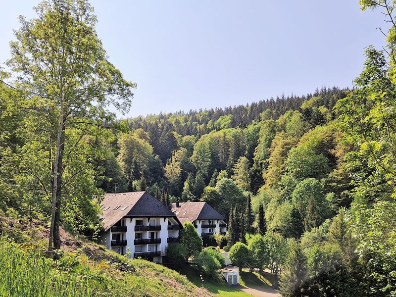 23471446-Ferienwohnung-4-Triberg-800x600-0