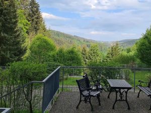 23485916-Ferienwohnung-3-Triberg-300x225-2