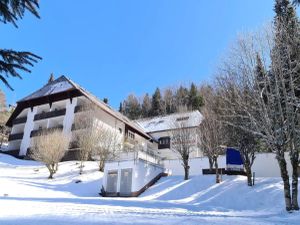 23471446-Ferienwohnung-4-Triberg-300x225-3